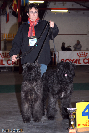 gal/Expo janvier 2007/KD1_0332.jpg